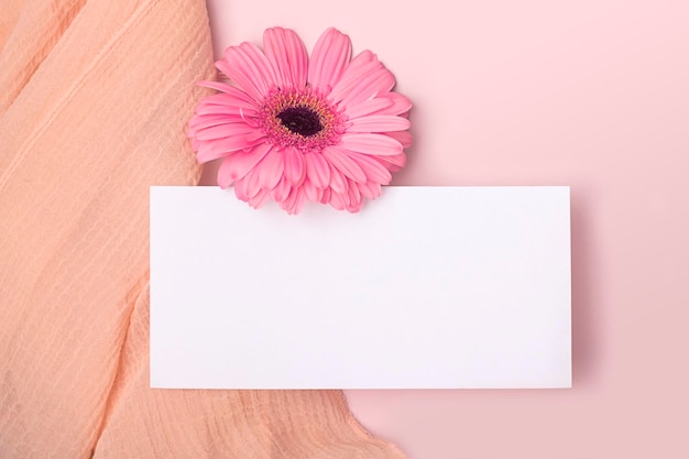 Photo greeting card mockup with blank blank and delicate pink gerbera flower on pastel pink background