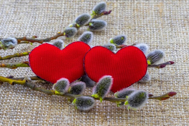 Greeting card for Valentine's Day with a red heart and willow earrings