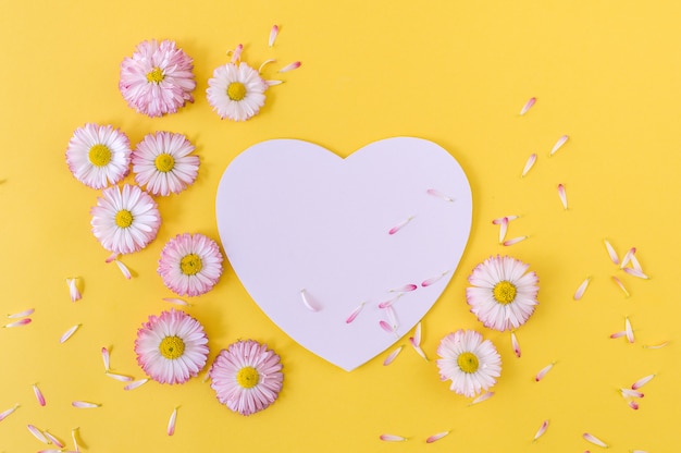 Greeting card with heart and daisies on an yellow wall.  Flat lay.