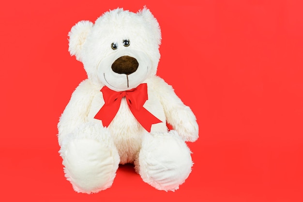 Greetings card concept white teddy bear with a bow isolated on a red background copy space