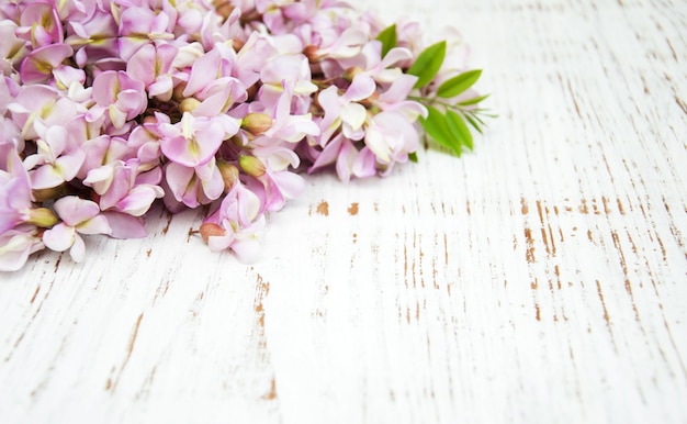 Foto grens met acacia bloemen