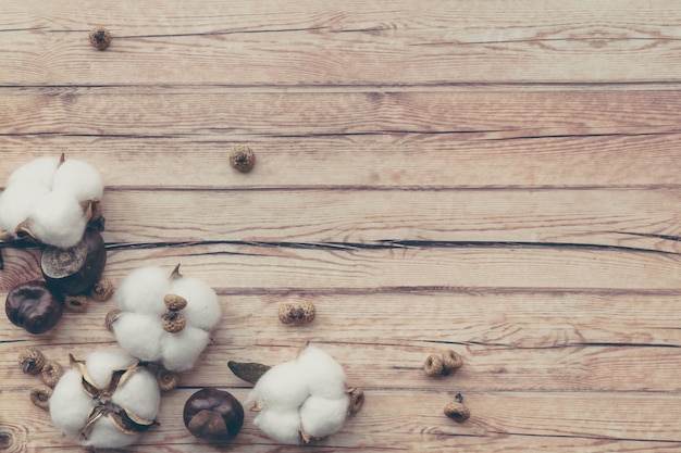 Grens van de bloemensamenstelling van de herfst. Witte pluizige katoenen bloem en kastanje op houten tafel.