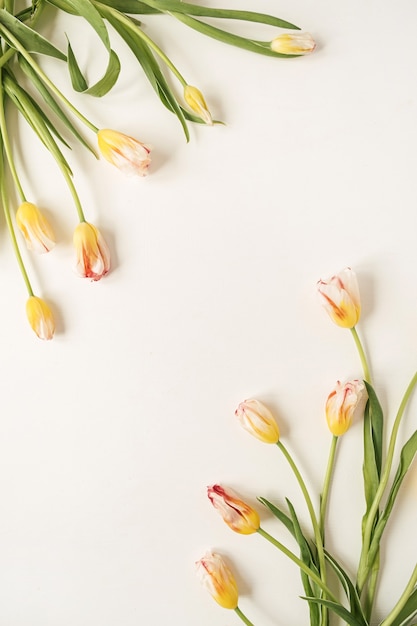 Grenskader gemaakt van gele tulp bloemen op wit