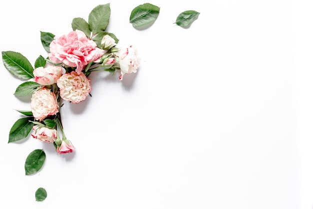 Grenskader met roze roze bloemknoppen takken geïsoleerd op een witte achtergrond plat lag bovenaanzicht flor