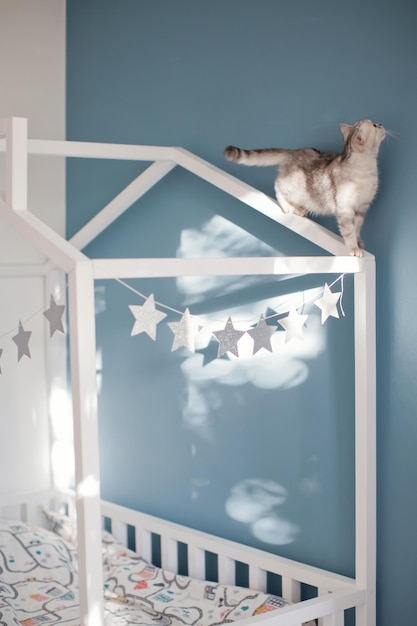 Photo grey cat on the childs bed