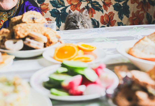 テーブルの近くの灰色の猫。ふわふわのペットは食べ物を盗もうとしています。家で空腹の動物。