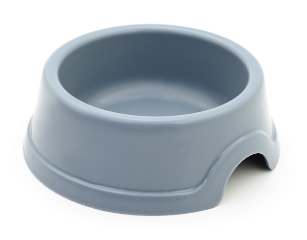 Grey cat's plastic bowl isolated