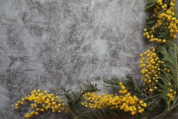 grey concrete background with frame of yellow flowers and copy space