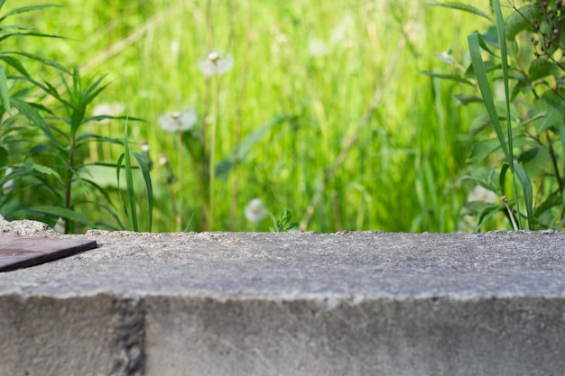 grey concrete background with unfocused green grasses