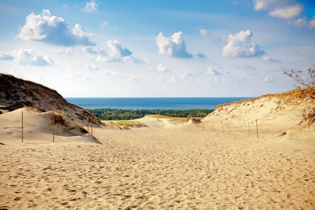 Foto dune grigie allo spiedo di curonian in lituania