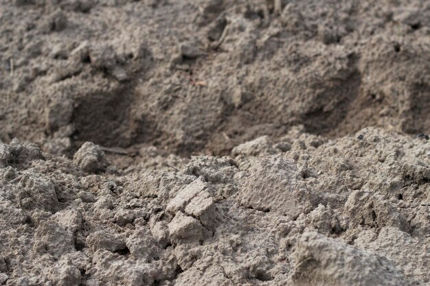 Foto terreno grigio vuoto nel giardino come sfondo testurato