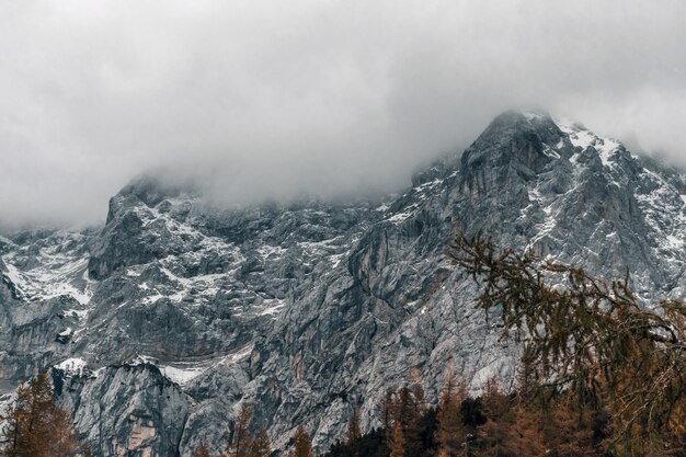 Grey mist and clouds above amazing mountain and autumn forest