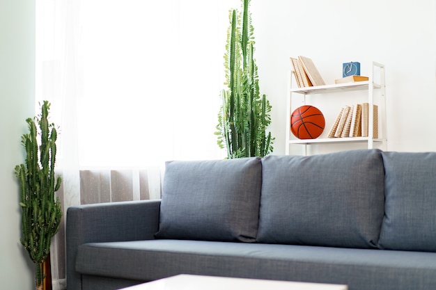 사진 식물과 선반이있는 현대 거실의 회색 소파