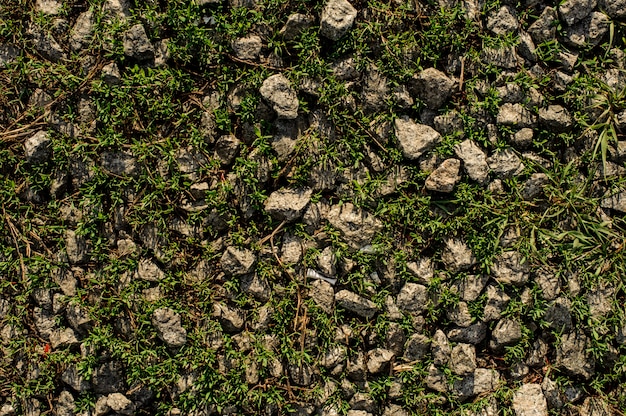 Серые камни среди зеленой травы в дикой природе