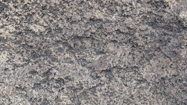 Grey street plaster. uneven texture. background for design. High quality photo