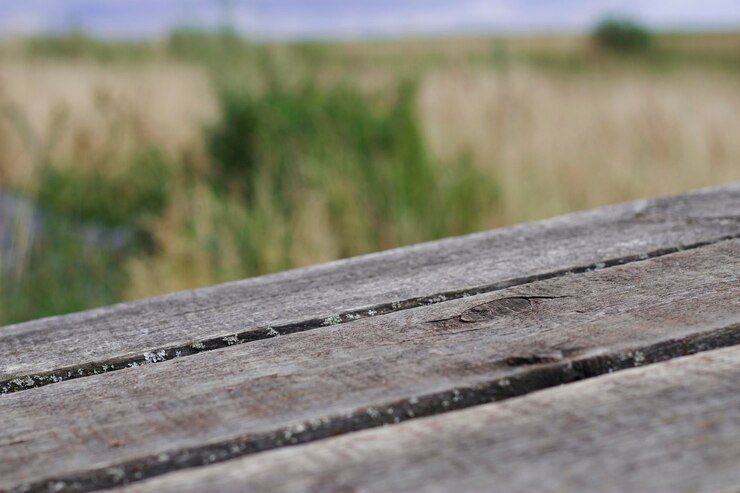 Photo grey weathered wooden planks in summer meadow as natural background