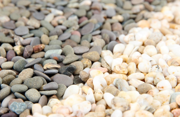 Серые и белые маленькие морские камни крупным планом