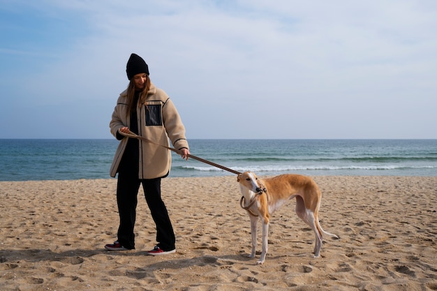 Greyhound dog with female owner at the beach