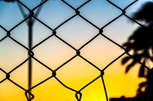 Grid silhouette wire trees and pole against yellow and blue sunset Salvador Bahia Brazil