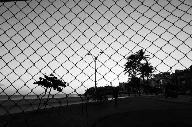 Foto griglia silhouette alberi di filo e palo contro il giallo e il blu del tramonto salvador bahia brasile