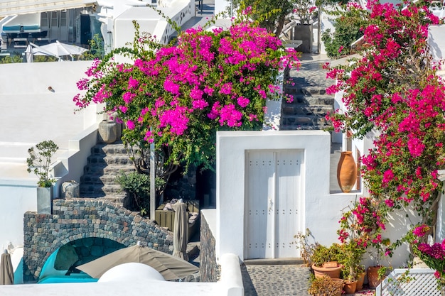 Griekenland. Een zonnige zomerdag op het eiland Santorini. Kleine binnenplaatsen met bloemen