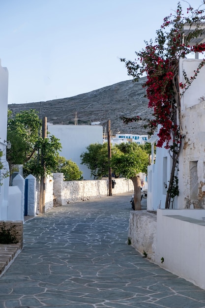 Griekenland Folegandros-eiland Traditionele winkels en huizen in de stad Chora