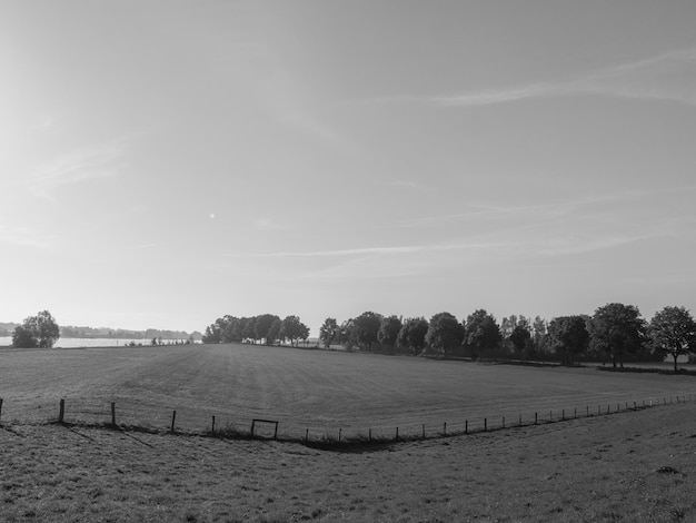 grieth bij de rivier de Rijn