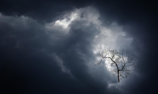 Griezelige bladloze takken van een boom in dramatische onweerswolken Abstracte background