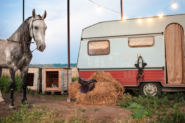 Foto grijs paard, mobiele trailer, gloeiende slinger, gitaar, klapstoelen voor rust, hooibalen, zadel en hoofdstel