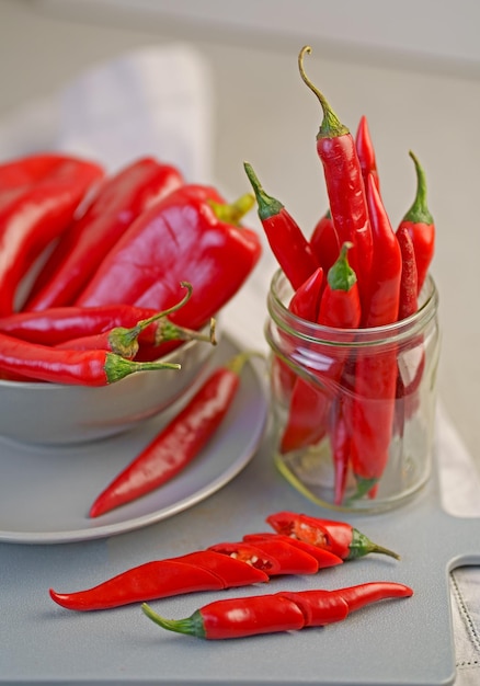 Grijze achtergrond met chilipeper Red hot Capsicum Seasoning Spice Mexican Element voor het ontwerp