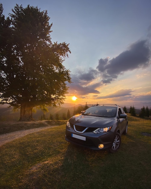 Grijze auto bij een grote oude beuk in de bergen bij zonsondergang