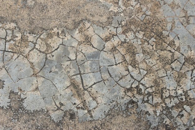 Grijze cement betonnen muur met scheuren en schimmel textuur achtergrond