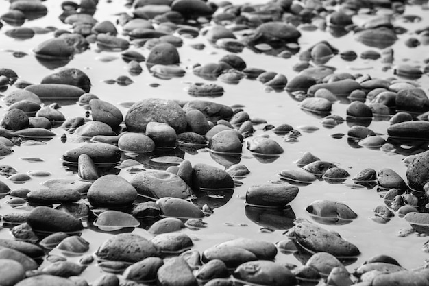 Grijze kiezelstenen op de kust van dichtbij bekijken van bovenaf