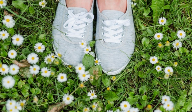 Grijze sportschoenen met veters op groene weide met gras en camomiles-madeliefjes