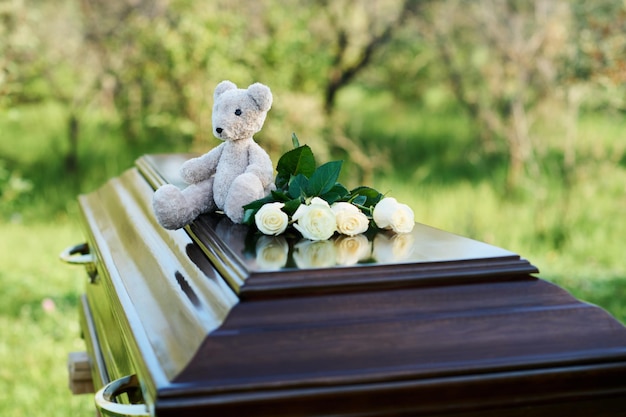 Grijze teddybeer en bos verse witte rozen bovenop gesloten deksel van kist