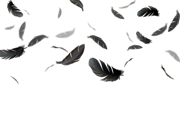 Grijze veren zwevend in de lucht. geïsoleerd op witte achtergrond.