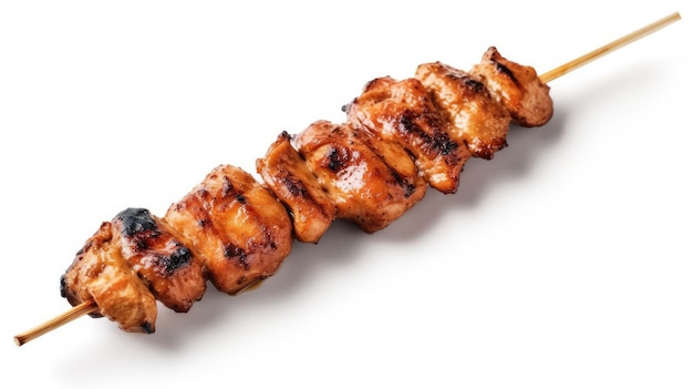 a grilled chicken breast is on a white background.