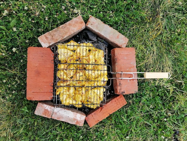 Grilled chicken skewers