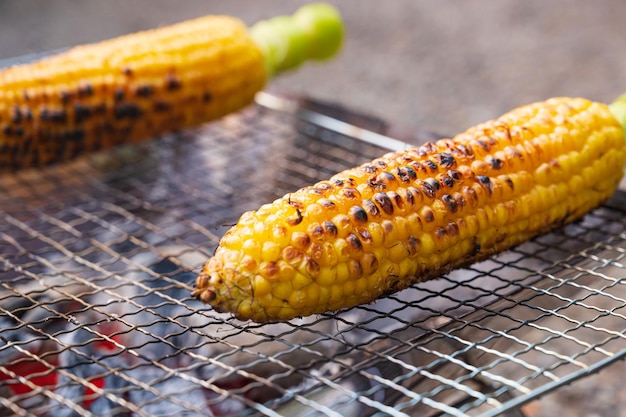 Grilled corn in the camp