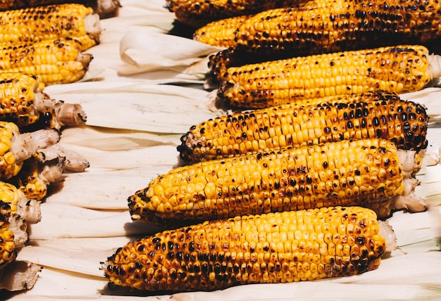 Grilled corn swings are found on a white background