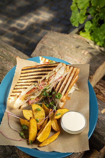 grilled delicious sandwich with meat and vegetables