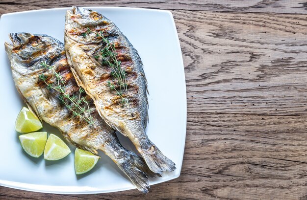 Grilled Dorade Royale Fish on the plate