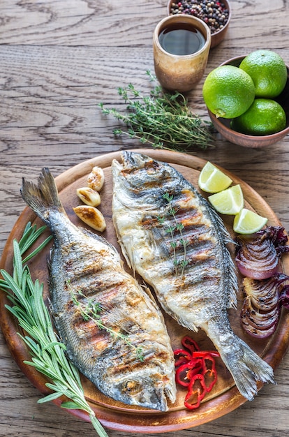 Grilled Dorade Royale Fish on the wooden board