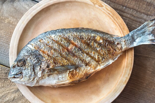 Grilled gilt-head bream