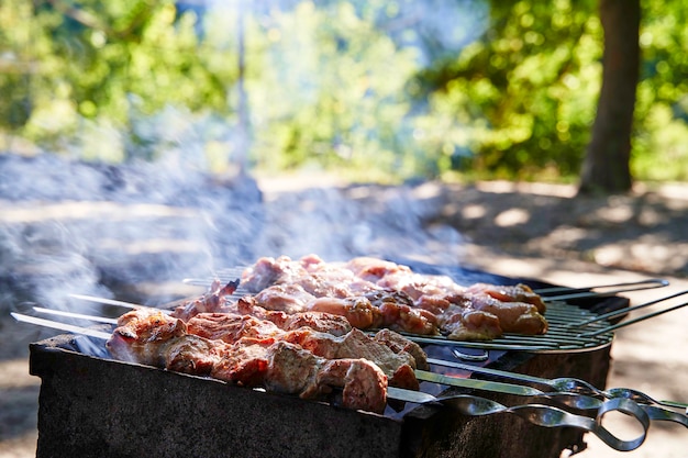 Grilled kebab cooking on metal skewer. Roasted meat cooked at barbecue. BBQ fresh beef meat chop slices. Traditional eastern dish, shish kebab. Grill on charcoal and flame, picnic, street food.