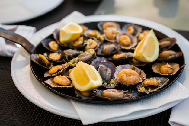 Grilled limpets