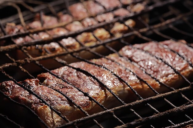 grilled meat on charcoal