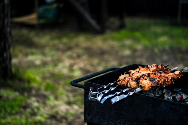 Grilled meat on coals Chicken BBQ Meat on a spit Meat on skewers Horizontal photo