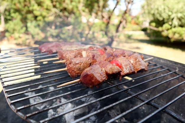 Grilled meat on the flaming Grill BBQ outdoors Barbecue