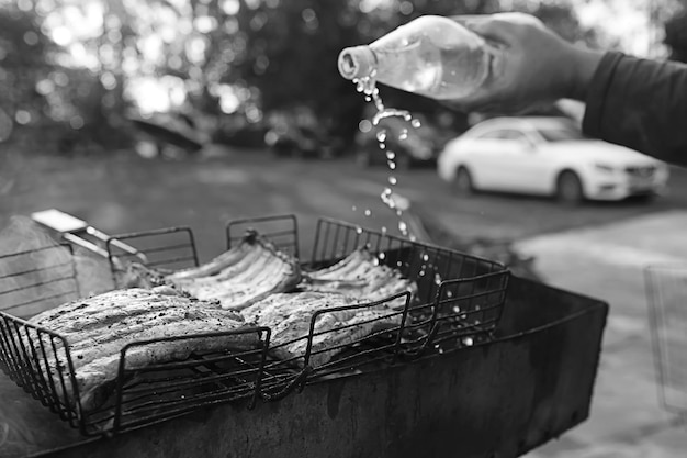 Grilled meat ribs